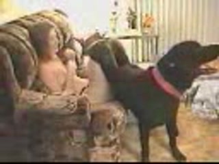 Dog loves digging his owner's pussy