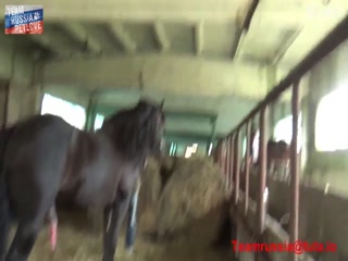 TeamRussia Petlove - My gymnast girl sex with horse