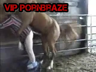 horse  fucking ass man